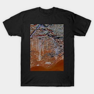 Magic Forest T-Shirt